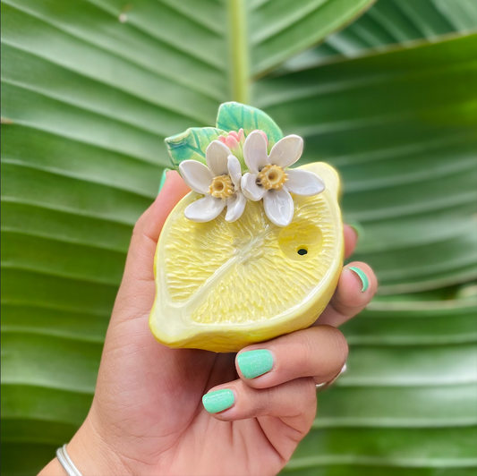 Clay & Vinyl tropical edition 🌴